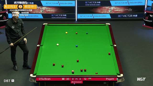 手在去年的 手在去年的