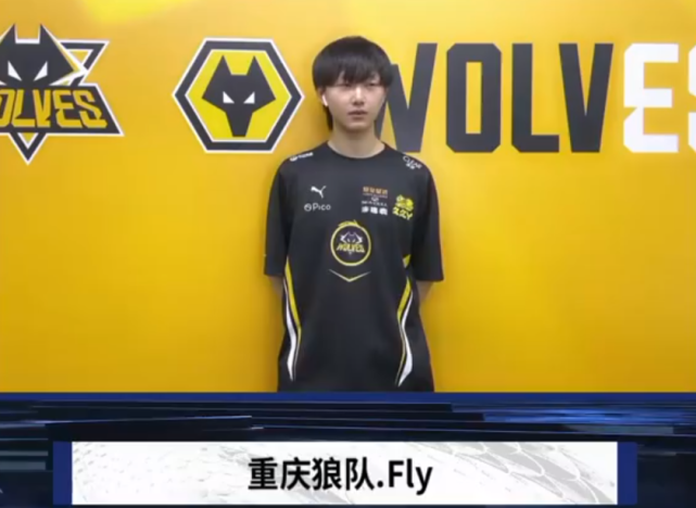 他强调